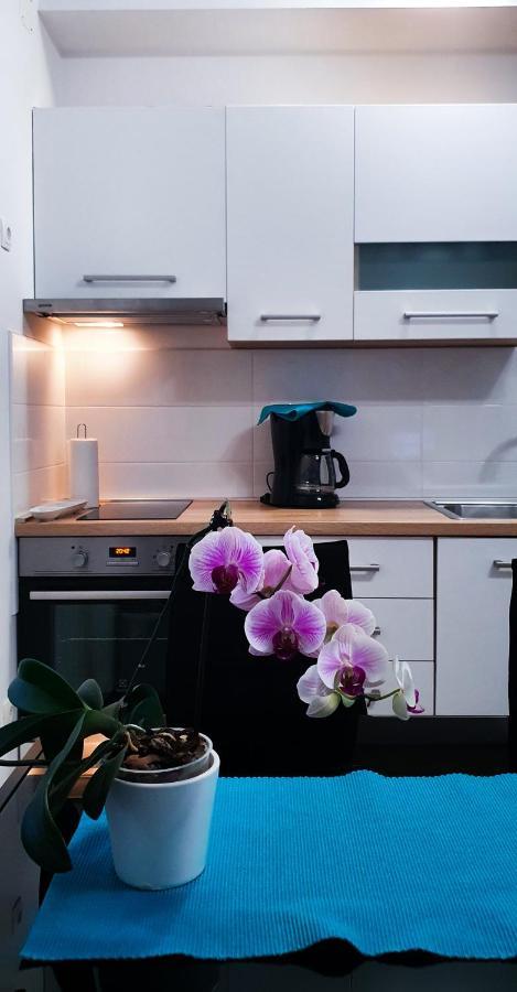 Radenka Zafron Apartment ヴォディツェ エクステリア 写真